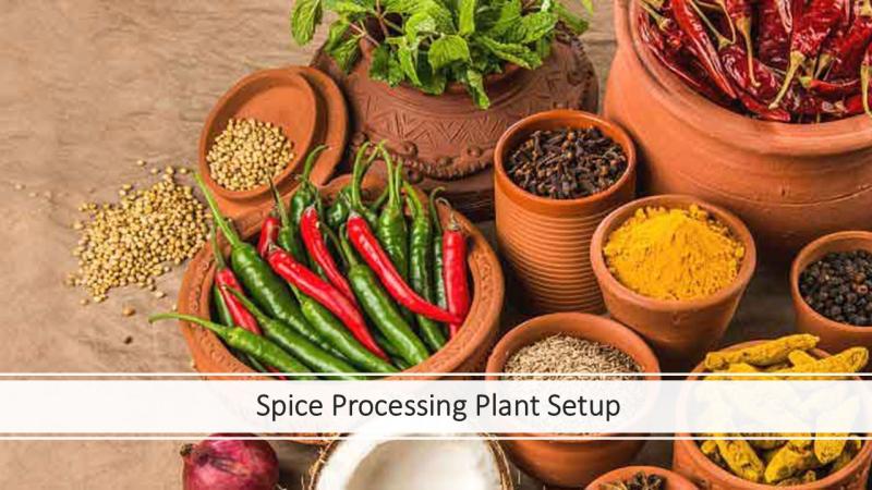 Spice Processing Cost Report 2025: Plant Layout, Machinery and Financial Outlook