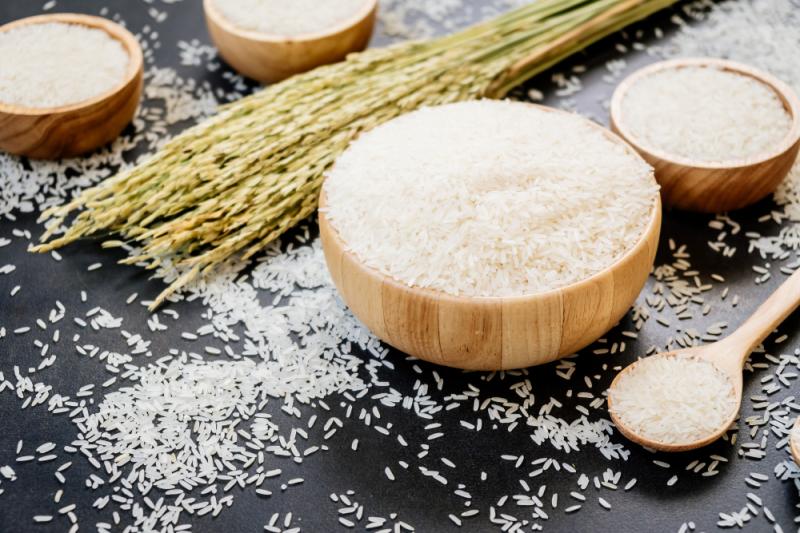 United States Organic Rice Protein Market Expansion Fueled by Vegan, Sports, and Functional Food Demand | Main Companies are Axiom Foods, AIDP Inc, RiceBran Technologies.
