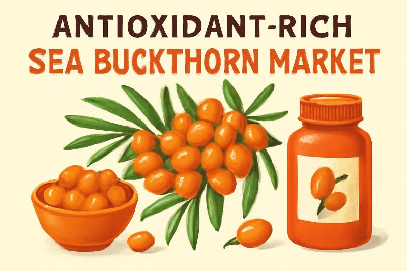 Antioxidant-Rich Sea Buckthorn Market to Reach USD 3,800.7 Million by 2035, Driven by Anti-Aging and Wellness Trends