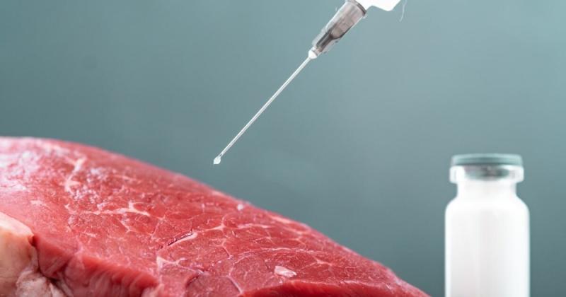 United States Antibiotic-Free Meat Market Outlook: Recent Developments, Regulatory Changes, Supply Chain Challenges, and Opportunities in Clean-Label Meat Products