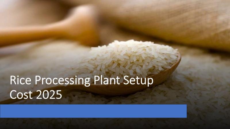 Rice Processing Plant Setup Cost 2025: Feasibility Study and Profit Analysis