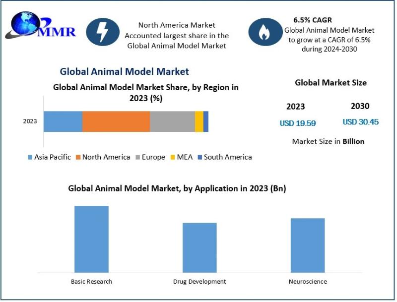 Animal Model Market Size Expected to Surpass USD 30.45 Billion by 2030
