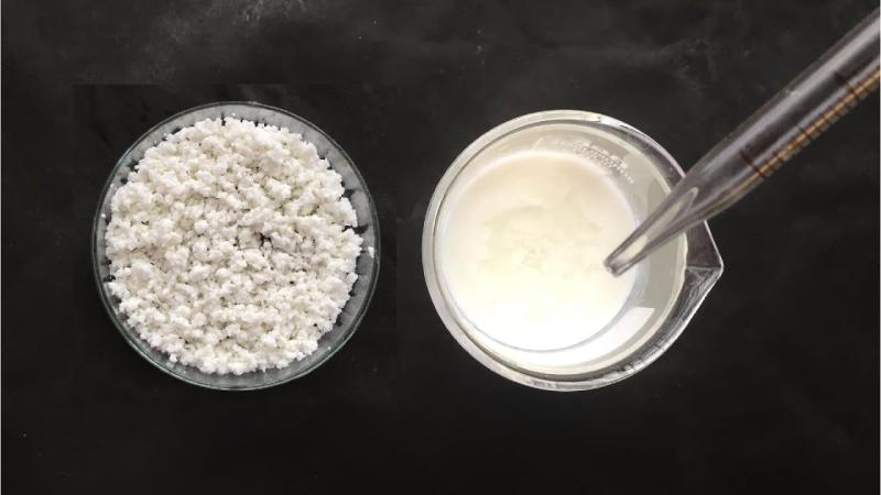 Casein Glycomacropeptide (CGMP) Market to Reach USD 215.9 Million by 2035, Driven by Functional Nutrition and Clinical Applications