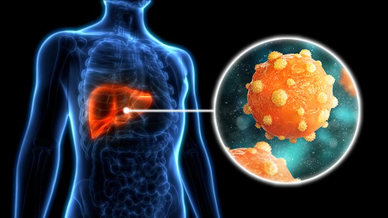 Chronic Hepatitis B (CHB) market is expected to reach USD 9.8 billion by 2034