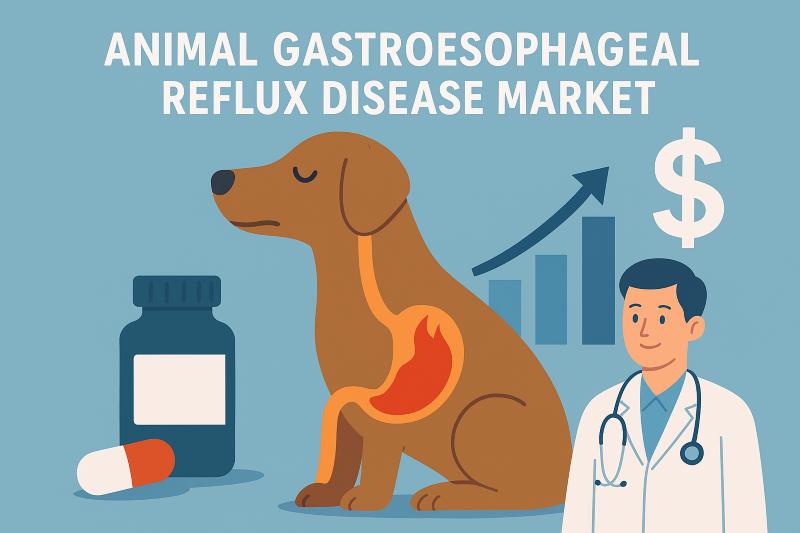 Animal Gastroesophageal Reflux Disease Market to Reach USD 6.9 Billion by 2035, Driven by Rising Pet Health Awareness and Advanced Therapeutics