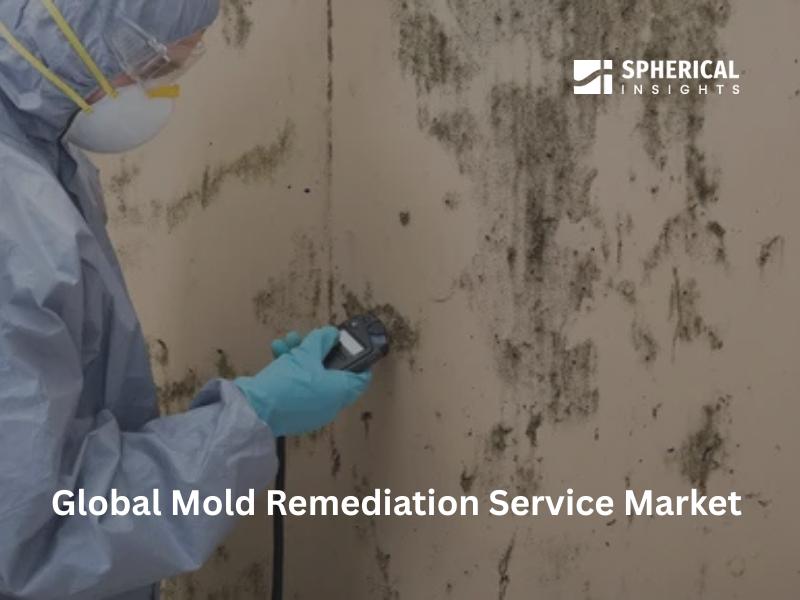 Mold Remediation Service Market Hits New High | Major Giants AdvantaClean, AllClean, ASAP Restoration