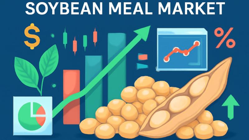 Soybean Meal Market Is Going to Boom | Major Giants ADM, Cargill, Bunge, Louis Dreyfus