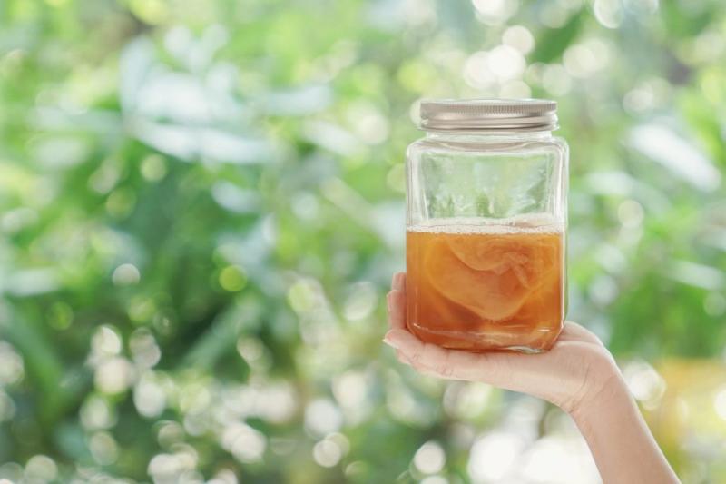 United States Probiotic Tea Market Surges with Gut Health Awareness & Functional Beverage Innovation | Key Companies: GT's Living Foods, KeVita, Health-Ade LLC, Brew Dr. Kombucha, Humm Kombucha