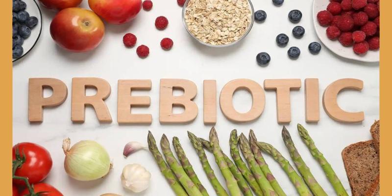 Prebiotic Ingredient Market Growth 2025, Leading United States | Vita Foods 2025 - Top 5 Companies are Ab-Biotics, 1Q Health GmbH, Wecare Probiotics Co., Ltd, PROBIOTICAL S.p.A, Nexira SAS,