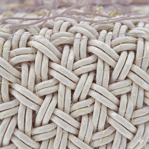 Europe Collagen Market to hit US$ 430.1 million by 2032 | Major Companies 2025 - DSM, Tessenderlo Group, Darling Ingredients, Italgel S.r.l.