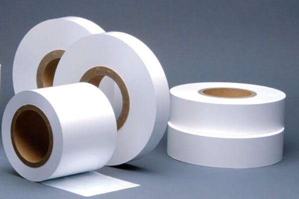 United States Polypropylene Battery Separator Market Forecast to Expand Rapidly Amid Growing Adoption of Electric Vehicles and Lithium-Ion Batteries | Top Companies are Asahi Kasei, Toray Industry, Freudenberg