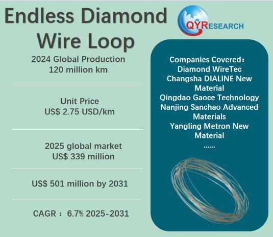 Endless Diamond Wire Loop Market Size & Competitive Dynamics: Global Forecast 2025-2031