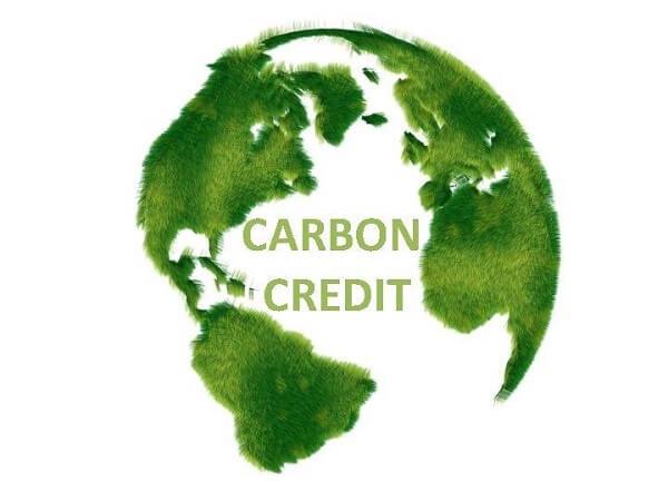 Carbon Credit Market Research Report 2025-2031
