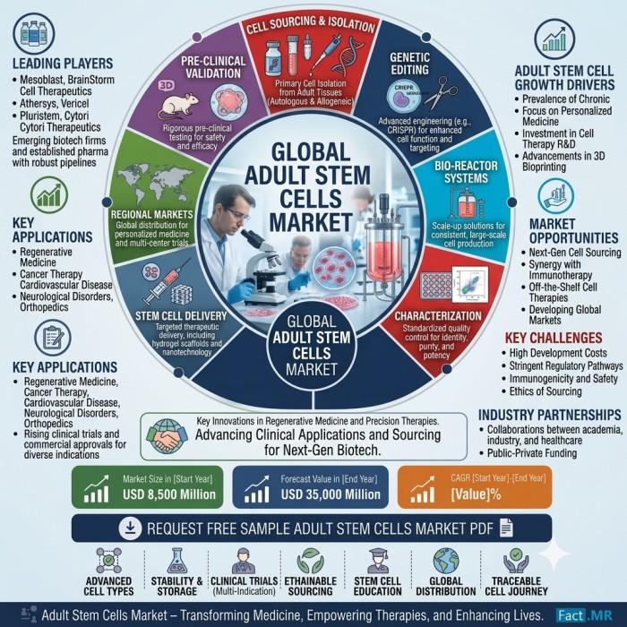 Adult Stem Cells Market Worth USD 42.2 Bn by 2036: USA Tops Global