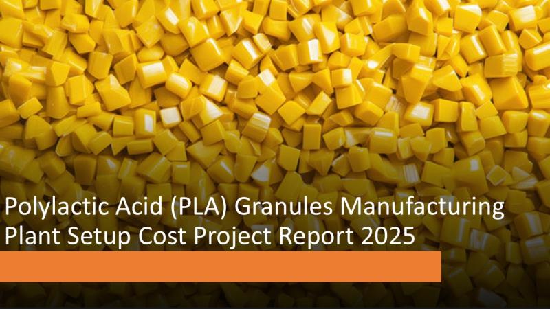 Polylactic Acid (PLA) Granules Manufacturing Plant Setup | Investment & Feasibility