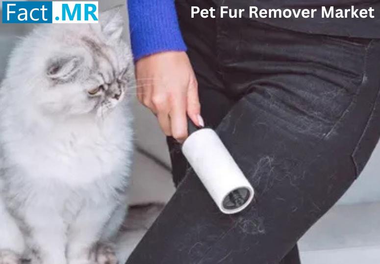 Pet Fur Remover Market: Trends, Growth Opportunities, and Competitive Landscape by 2035