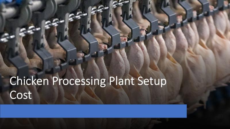 Chicken Processing Plant Cost 2025: Setup Details, Capital Investments, and Business Plan