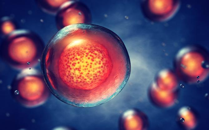 Future of Autologous Stem Cell and Non-Stem Cell Based Therapies Industry Research PDF 2025 | Top Key Players: Novartis AG, BrainStorm Cell Limited, Caladrius, Cytori Therapeutics Inc