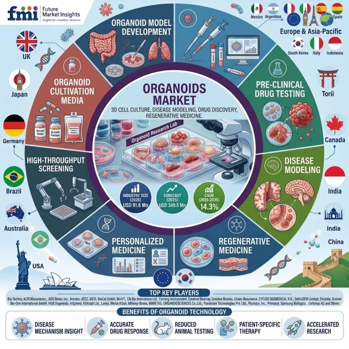 Organoids Market, USA Organoids Market, UK Organoids Market