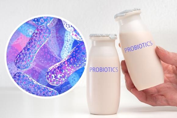 United States Probiotic Water Market Growth Driven by Functional Beverages & Gut Health Awareness | Major Players: Natural Grocers, Karma Culture LLC, Kif Kefir Water, PRESS Healthfoods, Suja Life, LLC, Borécha, Sunny Culture