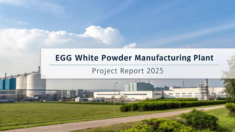 Egg White Powder Manufacturing Plant Setup Cost 2025: Industry Trends & Investment Opportunities