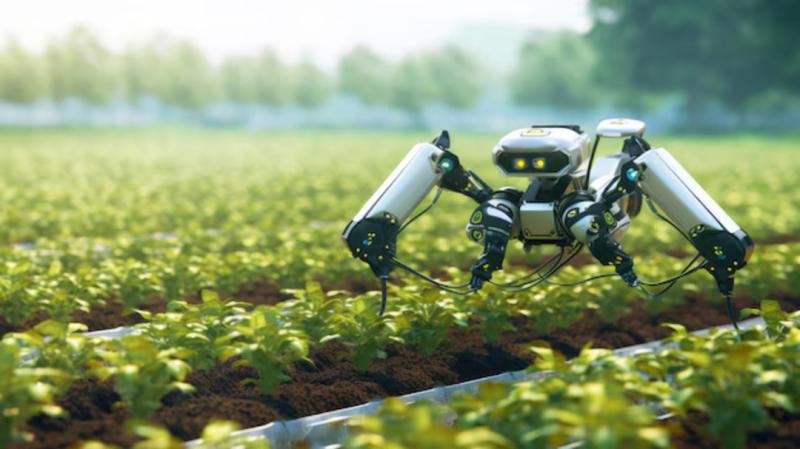 United States Harvesting Robots Market Booms 2025: Top 5 Companies - Agrobot, Dogtooth Technologies Limited, Panasonic Holdings Corporation, Certhon, Harvest CROO Robotics LLC