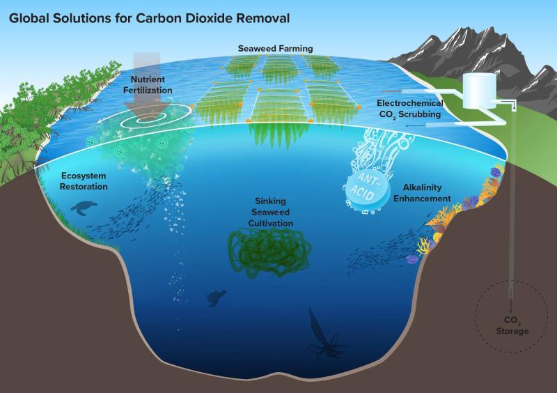Carbon Dioxide Market Statistics 2032: Major Factors that can Increase the Global Demand