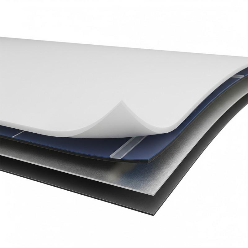United States Solar Backsheet Market 2025 | Growth Drivers, Key Players & Investment Opportunities
