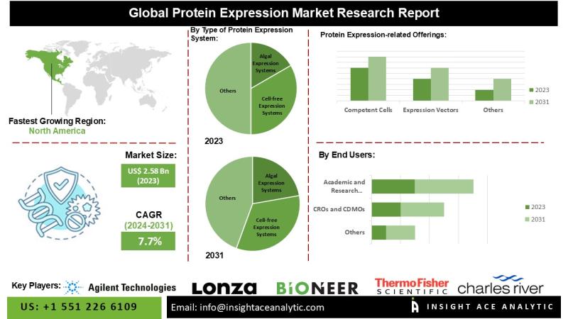 Protein Expression Market Top Players - Aldevron, Cayman Chemical, Charles River Laboratories, Domainex.