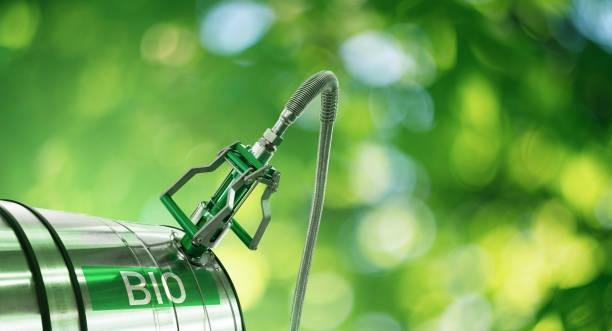 Brazil Biodiesel Market to Reach USD 18.48 Billion by 2032 Growing at 10.10% CAGR