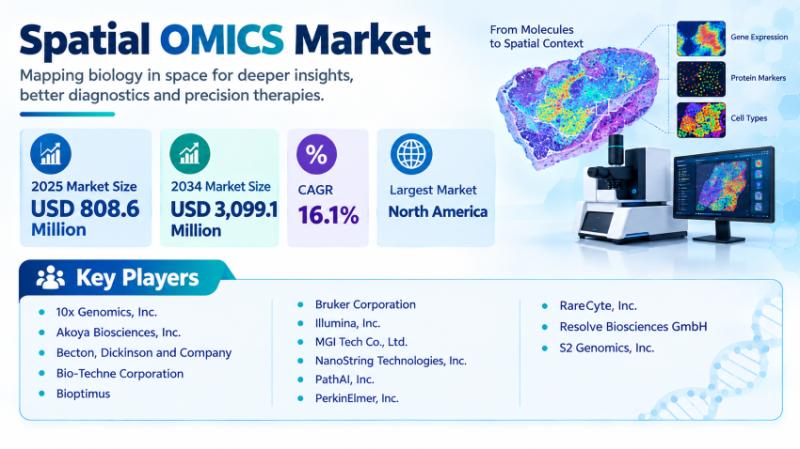Spatial Omics Market