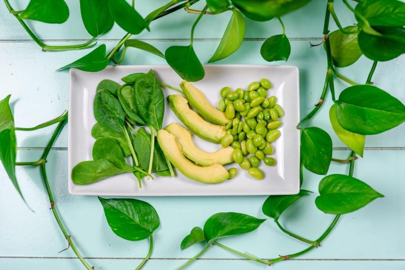 United States Plant-Based Probiotics Market to Reach US$ 1.38 Billion by 2031: Innovations in Fermented Vegetables, Fortified Beverages, and Vegan Supplements Driving Growth