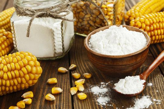 Starch-Derived Fiber Market Set to Reach USD 110 Billion by 2035 Driven by Digestive Health Trends and Technological Innovations