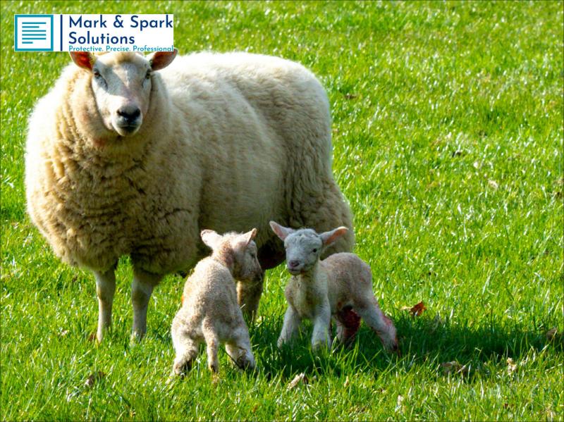 US Animal Genetics Market to Hit USD 2.3 Billion by 2030, Led by Cattle and Biotech Advances
