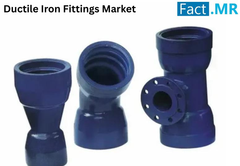 Ductile Iron Fittings Market: Trends, Key Players and Competitive Landscape (2025-2035)