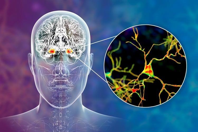 Neuropathic Ocular Pain (NOP) market is expected to reach USD 4.5 billion by 2034