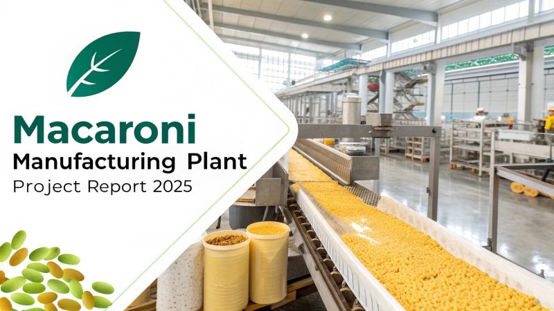Macaroni Manufacturing Plant Setup 2025: Raw Material List, Machinery Cost and Industry Trends