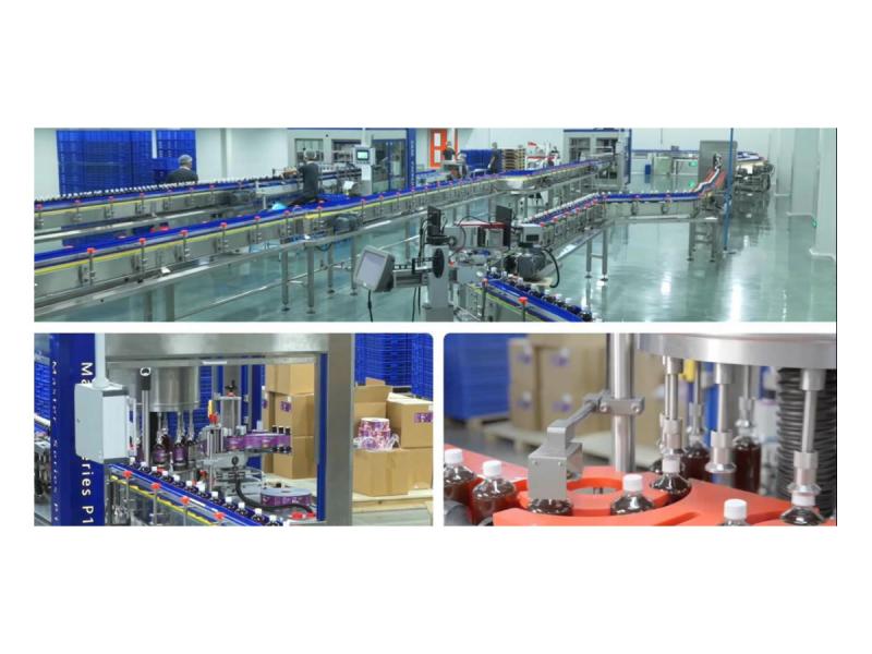 U100 - China Top Additive-Free Dried Fruits Manufacturer