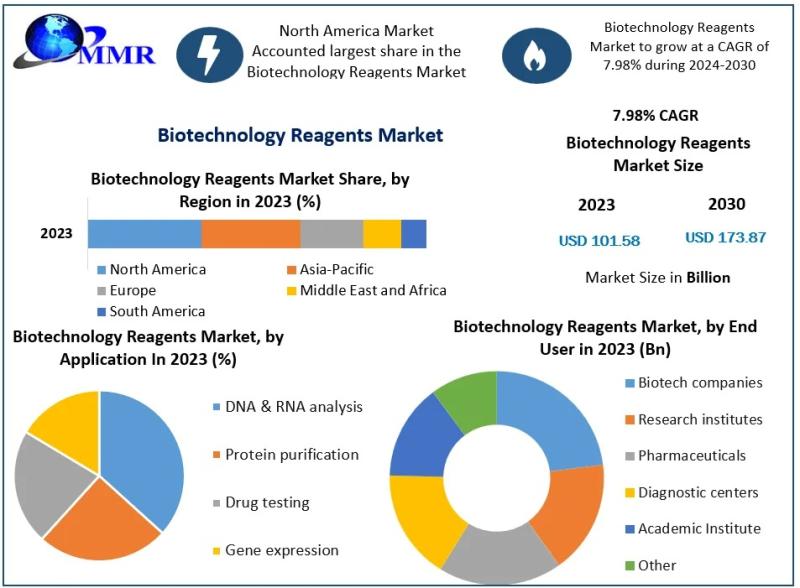 Biotechnology Reagents Market