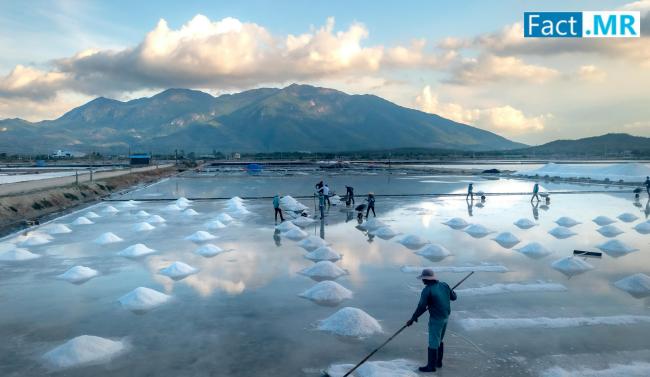 United States Salt Market is Projected to Reach USD 4.5 Billion by 2034, Driven by Food and Industrial Demand