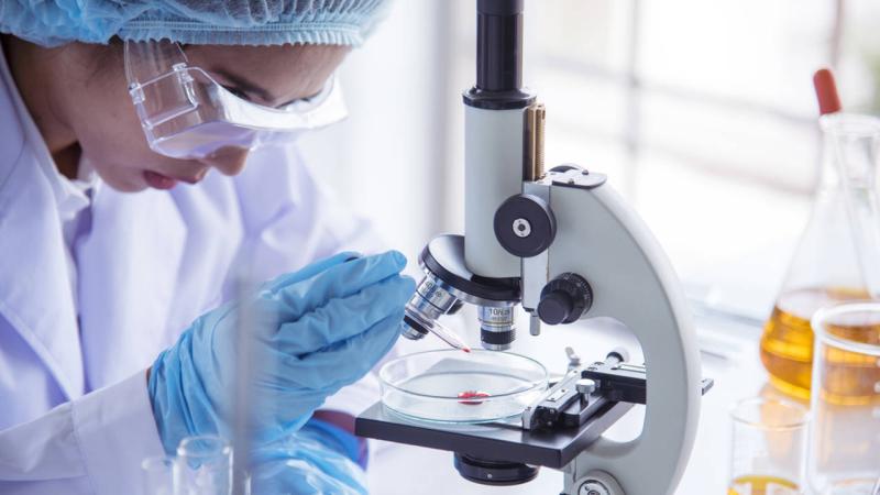 United States Hemato-Oncology Testing Market Set for Explosive Growth Amid Rising Cancer Diagnostics Demand 2025 | Major key players - Abbott Laboratories, Qiagen N.V., Archerdx, Inc.