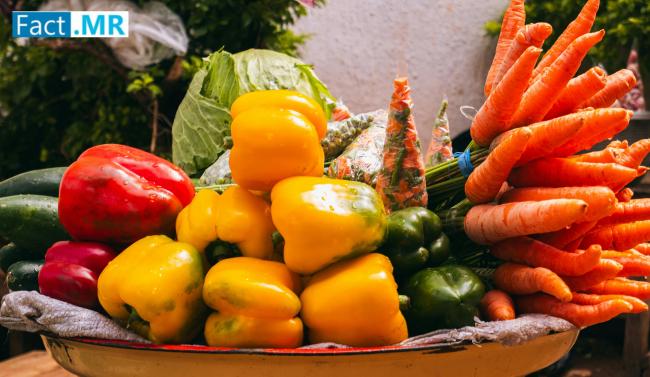 Clinical Nutrition Market Set to Reach US$ 25.94 Billion by 2034, Driven by Innovative Healthcare Solutions