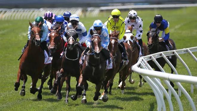 Horse Racing Market is Expected to Boom: Darley Stud, Baden Racing, Qatar Racing