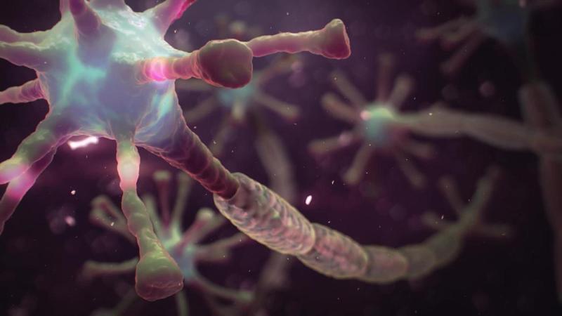 VYVGART Hytrulo for Chronic Inflammatory Demyelinating Polyneuropathy Has Been Approved by Zai Lab and Argenx