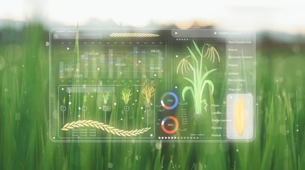 Europe Digital Agriculture/Farming Market Set for Robust Growth Through 2035: Key Trends and Insights