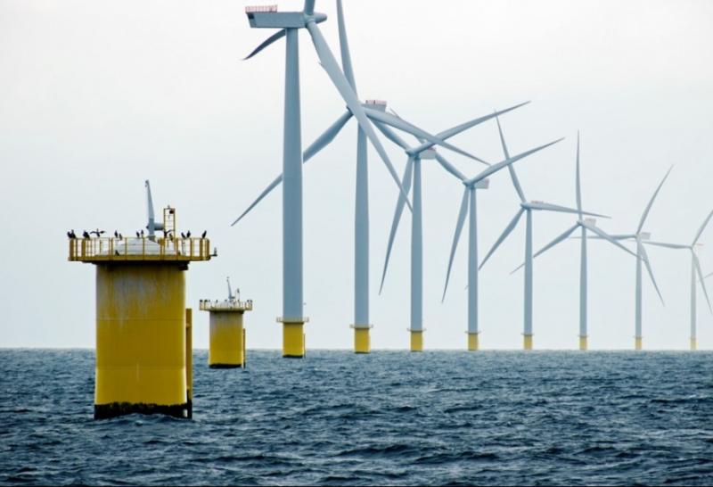 Offshore Wind Market Forecast 2024-2031: Deep-Dive Insights into Shallow, Transitional, and Deep Water Projects, Emerging Technologies, and Regional Market Dynamics