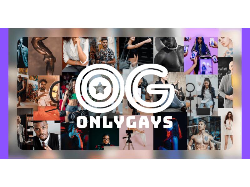 Content creators from diverse categories and styles