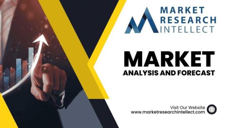PAGA Systems Market Segmentation Analysis by Application, Type, and Key Players-Paga, Paystack, Flutterwave, Square, Adyen
