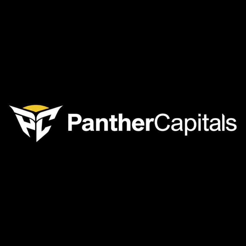 Panther Capitals logo