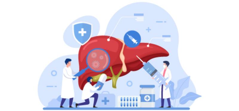 United States Hepatorenal Syndrome Market Set for Rapid Growth Amid Rising Liver Disease Cases: Key Trends & Opportunities 2025 | Top key players - Mallinckrodt plc, Wellona Pharma, SiNi Pharma Pvt Ltd.